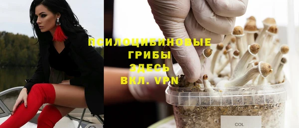 герыч Магас