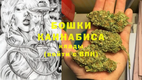 мдпв Майский