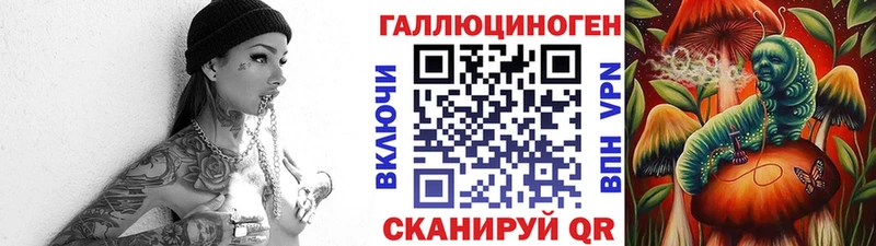 кракен ссылки Щёлково Псилоцибиновые грибы Cubensis